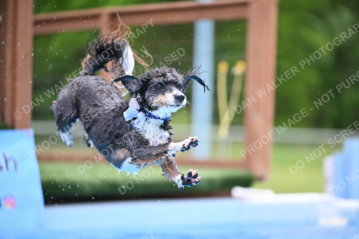 Dukes-5-17-25-01534_11901 PM