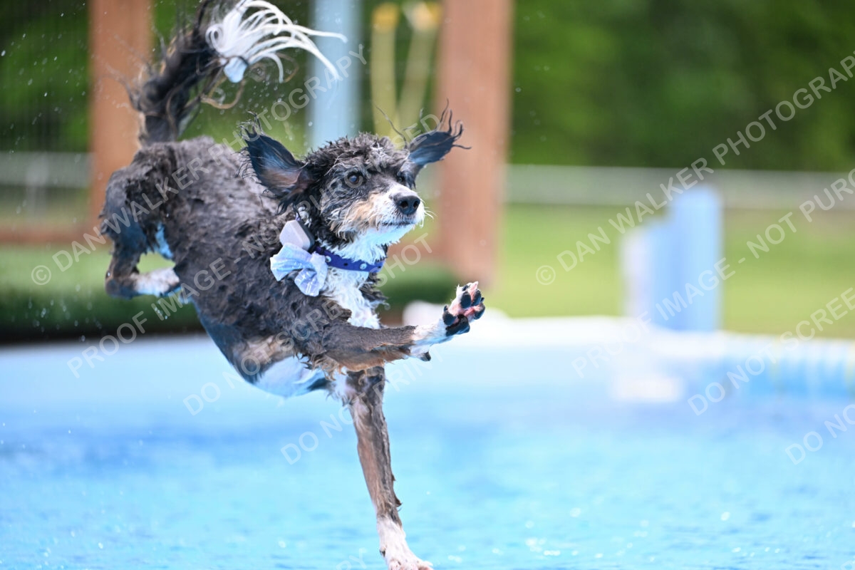 Dukes-5-17-25-01535_11901 PM