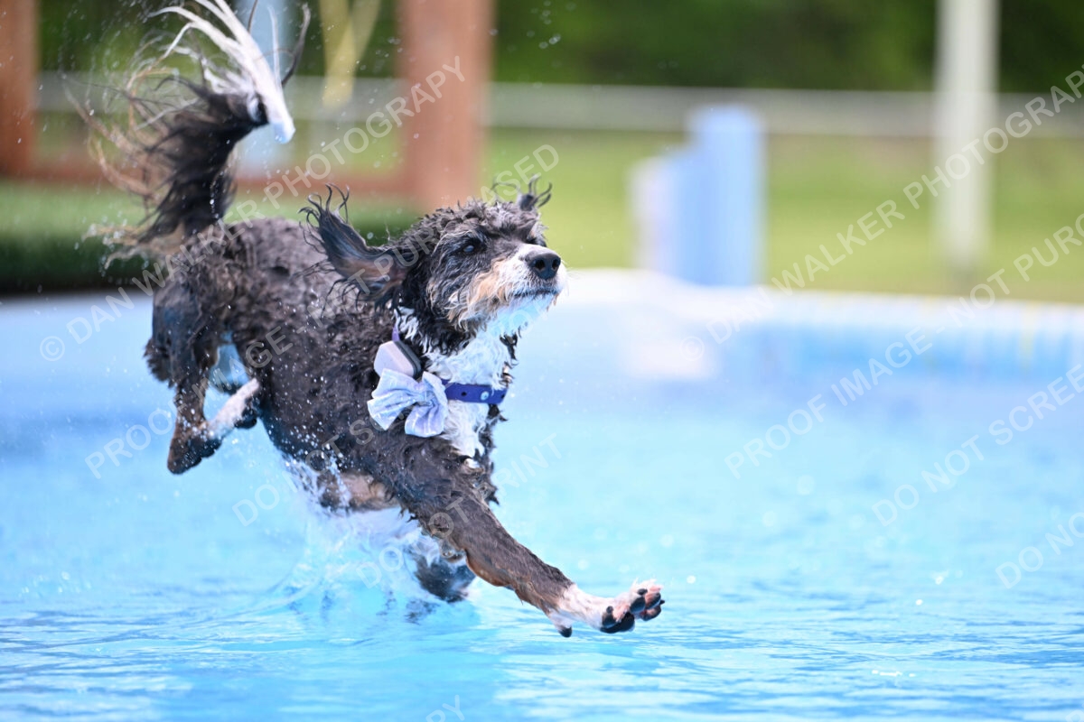 Dukes-5-17-25-01536_11901 PM