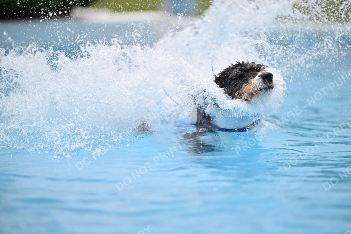 Dukes-5-17-25-01538_11901 PM