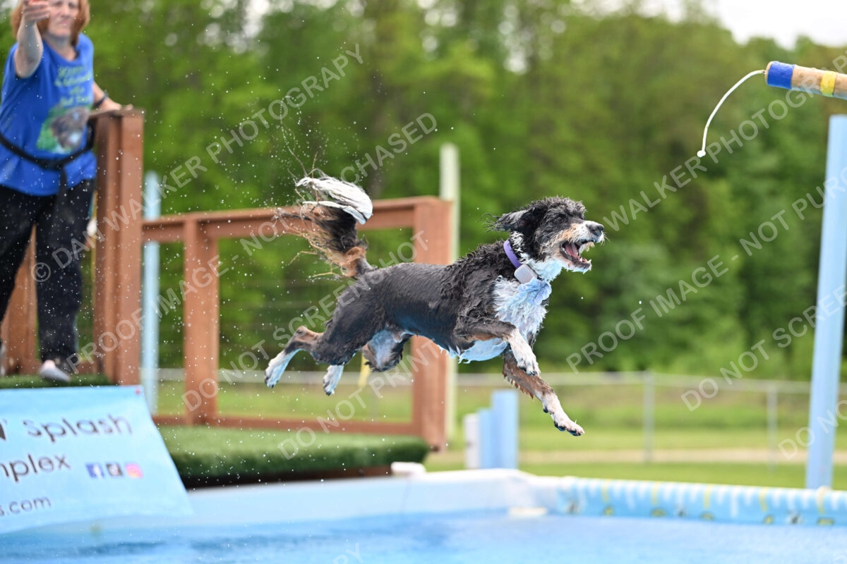 Dukes-5-17-25-01544_11929 PM