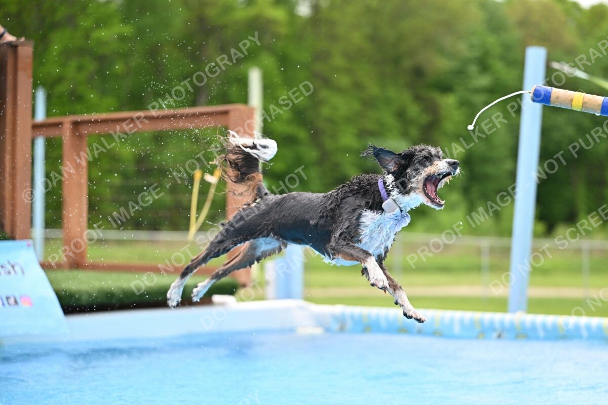 Dukes-5-17-25-01545_11929 PM