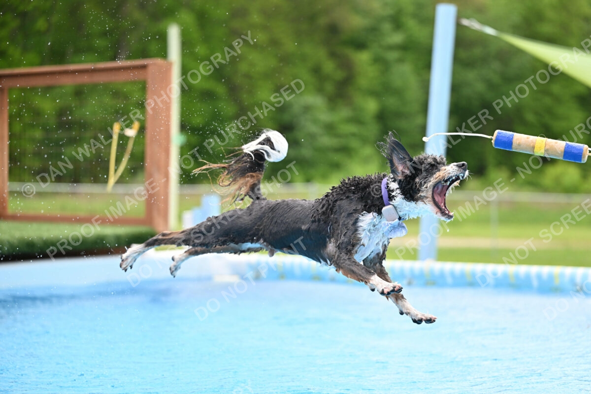 Dukes-5-17-25-01546_11929 PM