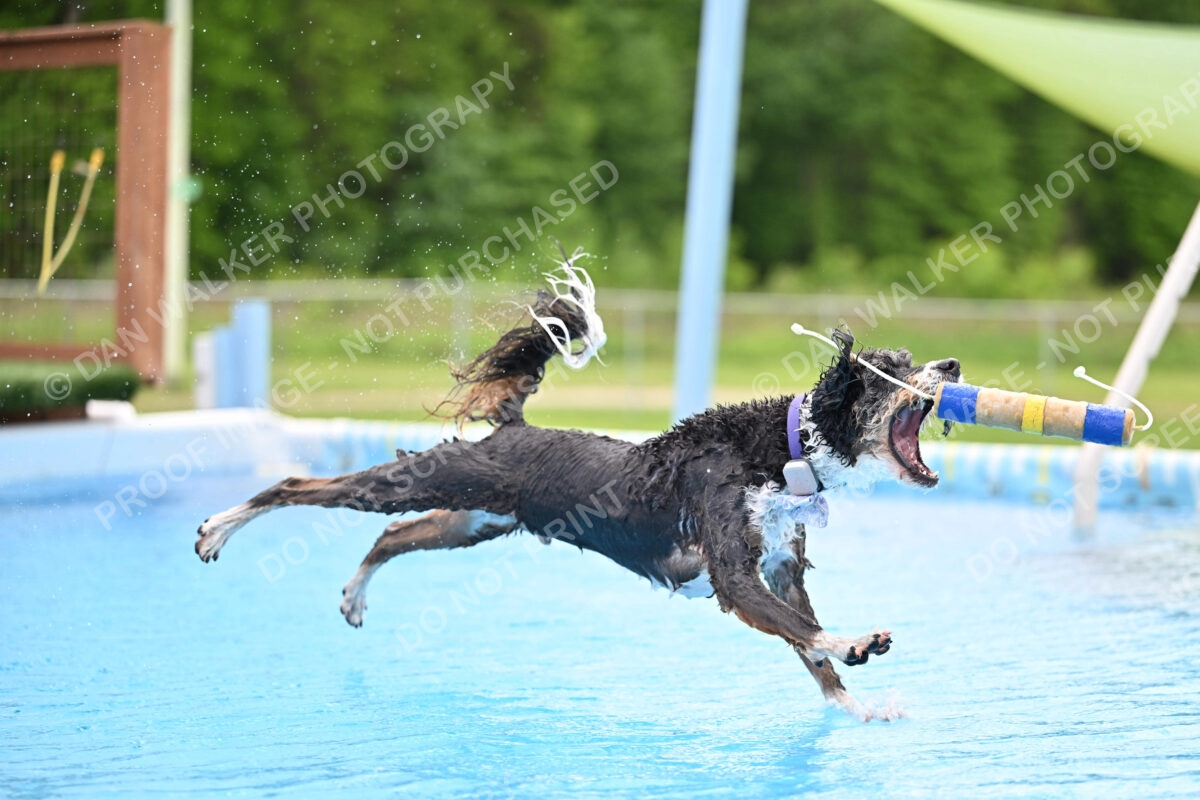 Dukes-5-17-25-01547_11929 PM