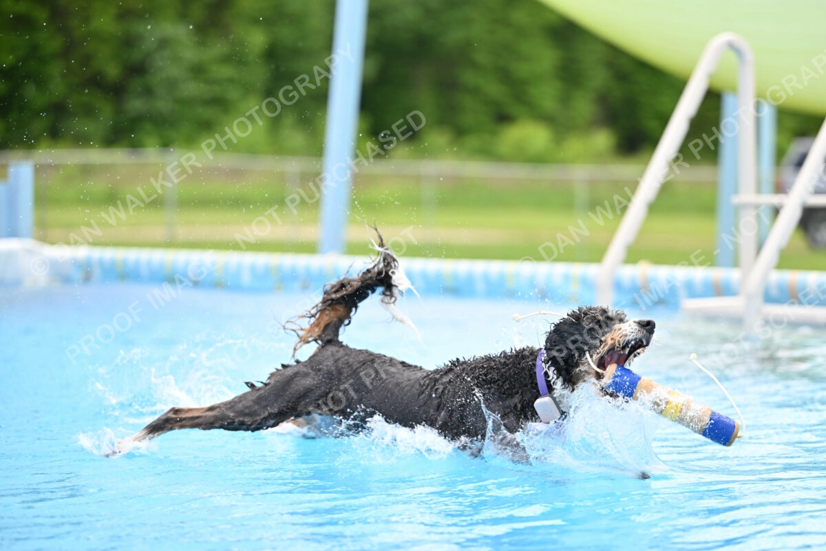 Dukes-5-17-25-01548_11930 PM