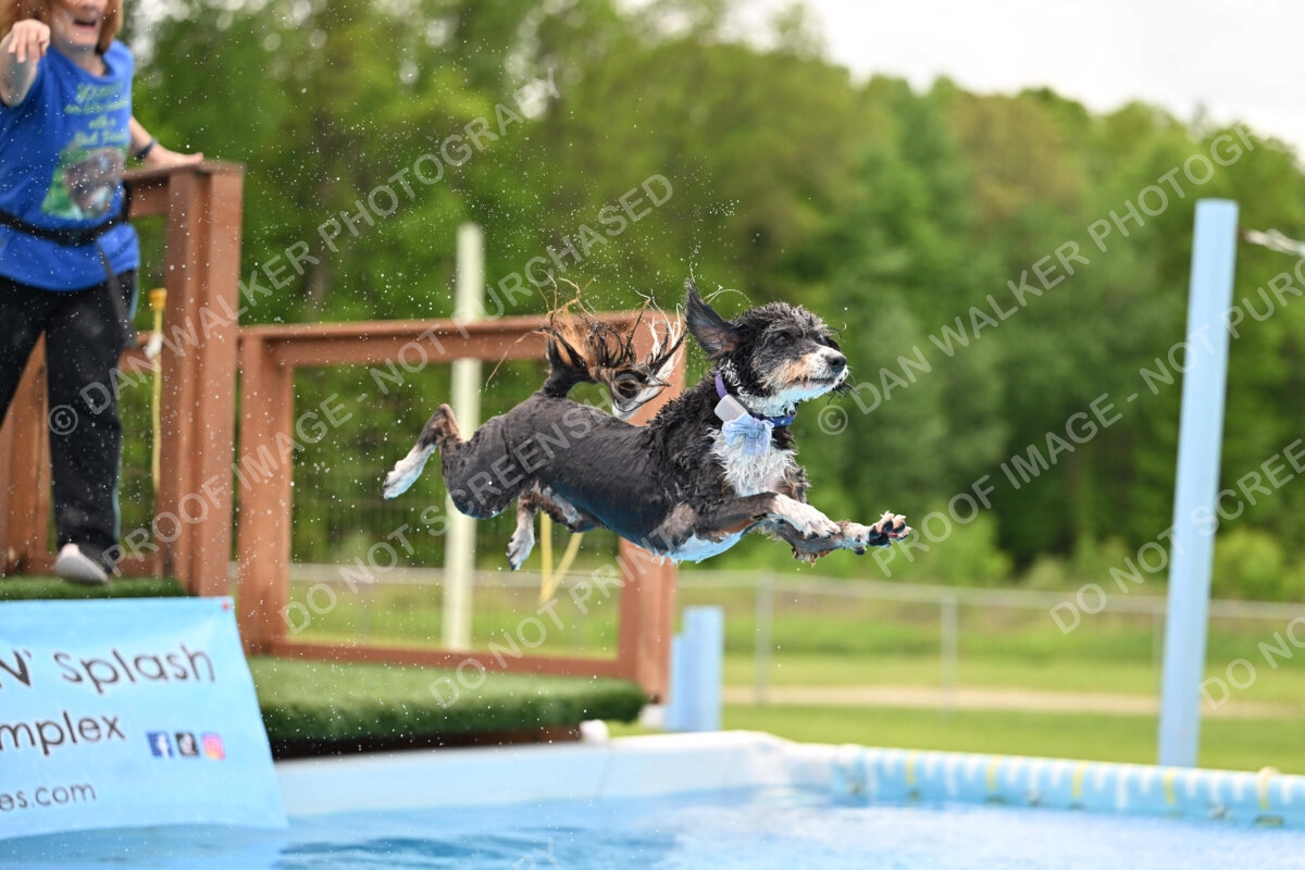 Dukes-5-17-25-01554_12002 PM