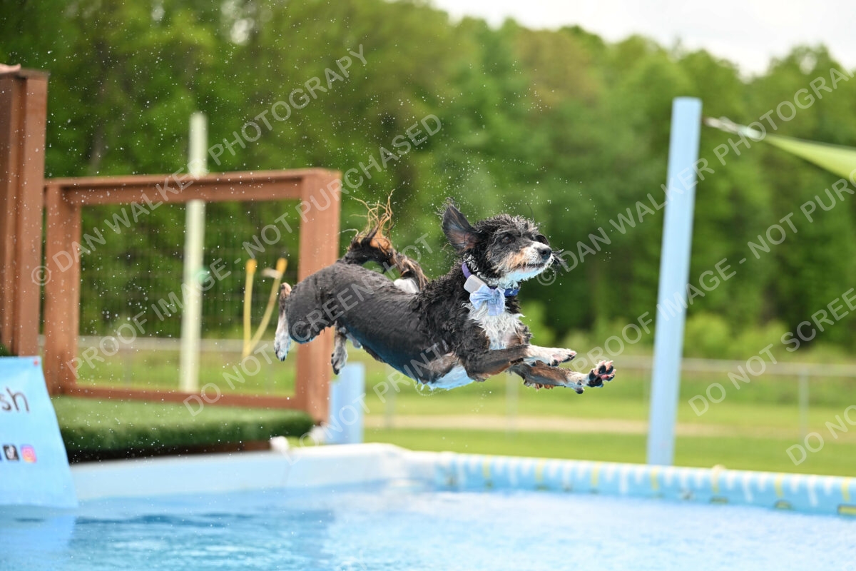 Dukes-5-17-25-01555_12002 PM