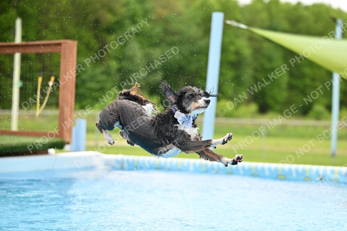 Dukes-5-17-25-01556_12002 PM