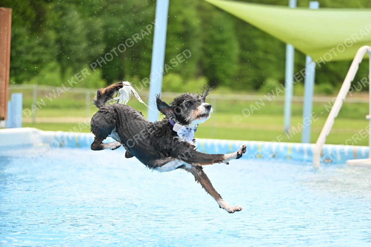 Dukes-5-17-25-01557_12002 PM