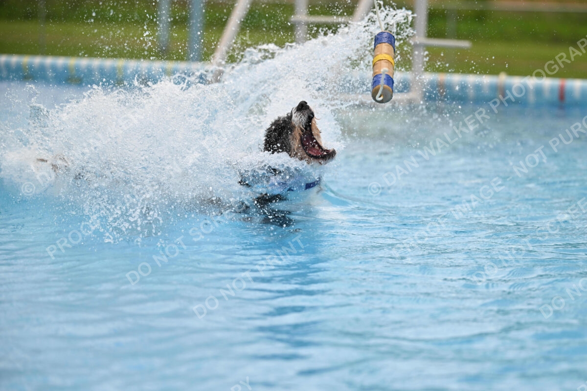 Dukes-5-17-25-01558_12002 PM