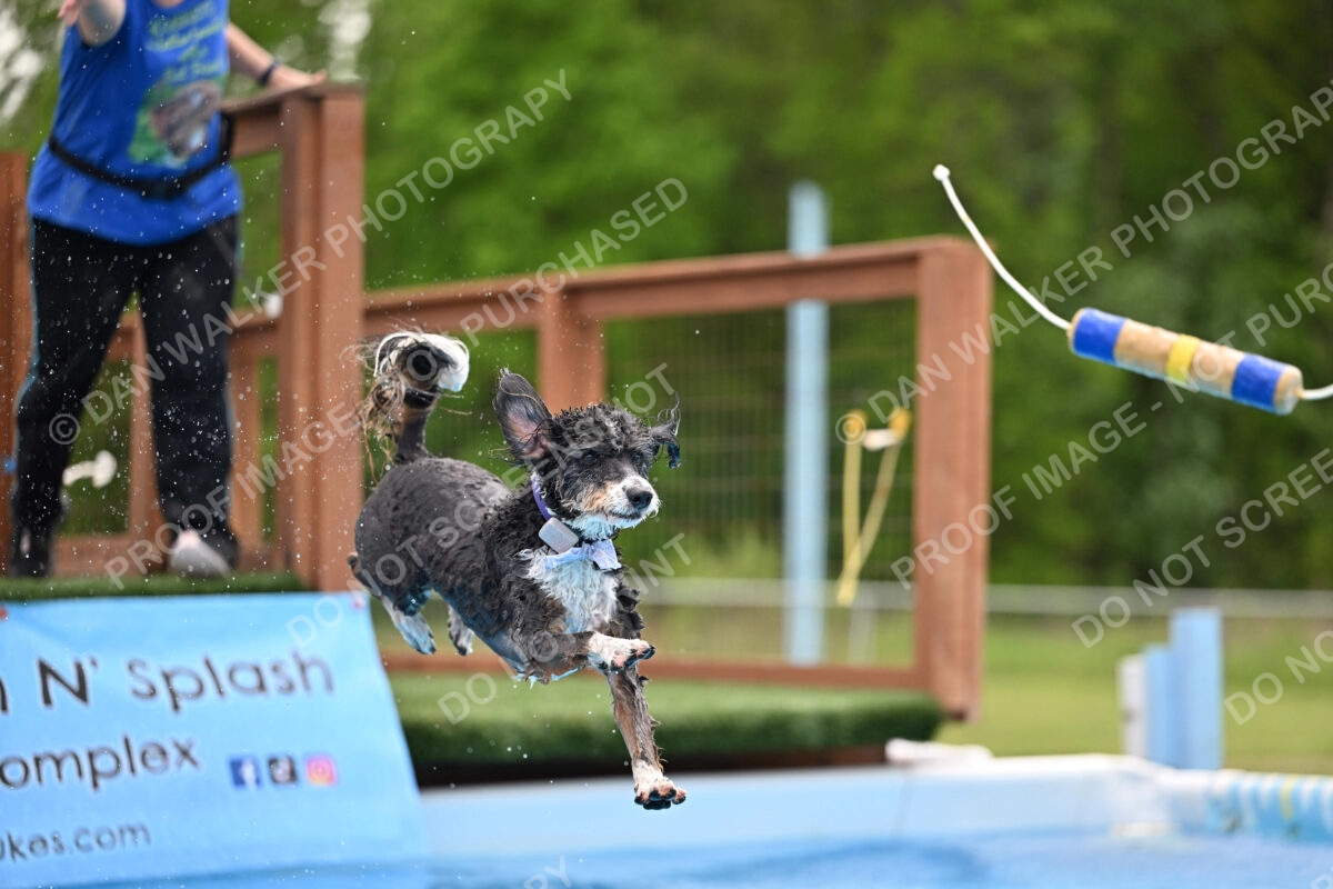 Dukes-5-17-25-01567_12029 PM