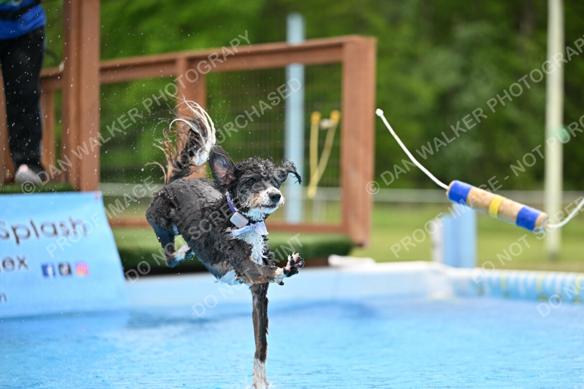 Dukes-5-17-25-01568_12029 PM