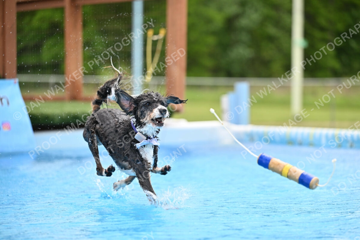 Dukes-5-17-25-01569_12029 PM