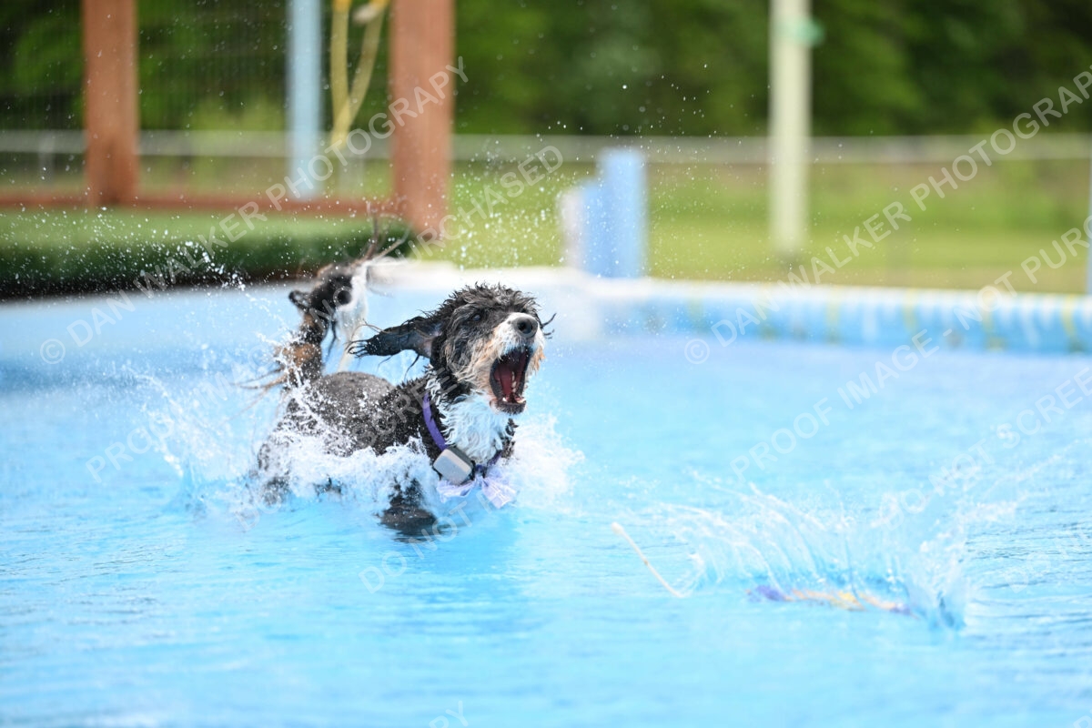 Dukes-5-17-25-01570_12029 PM