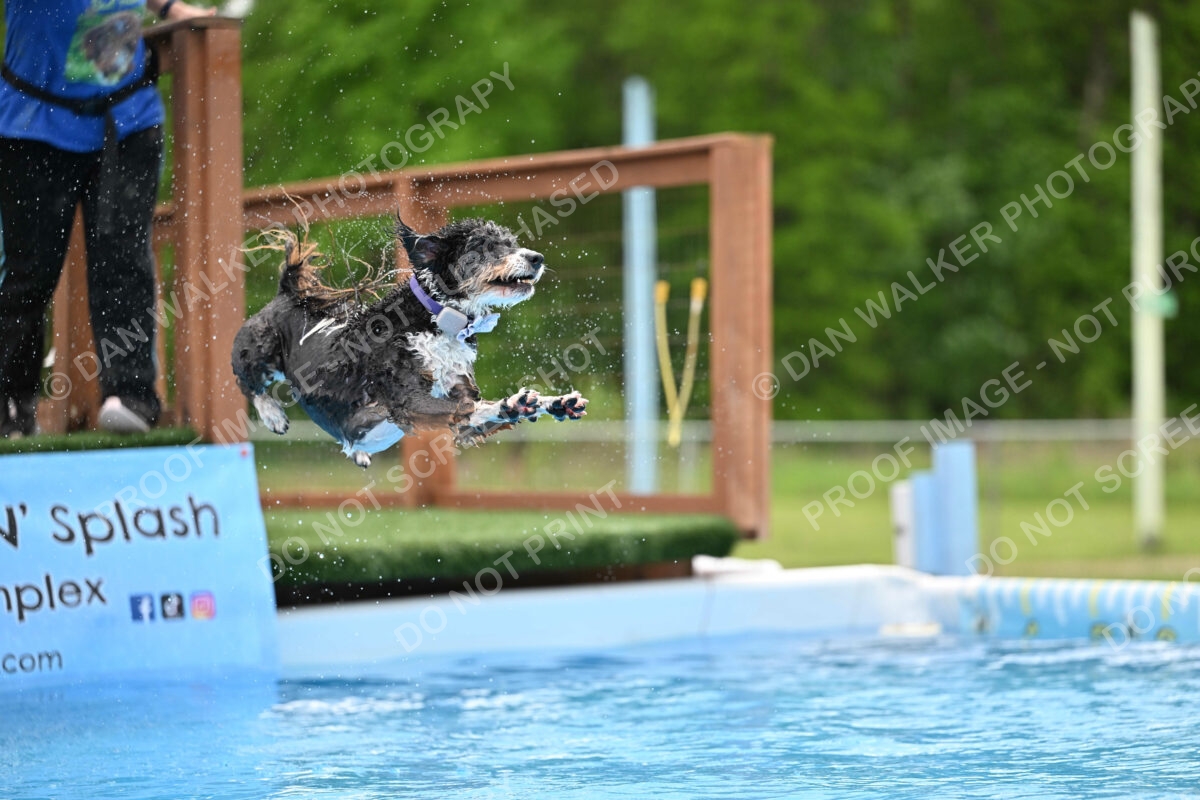 Dukes-5-17-25-01578_12101 PM