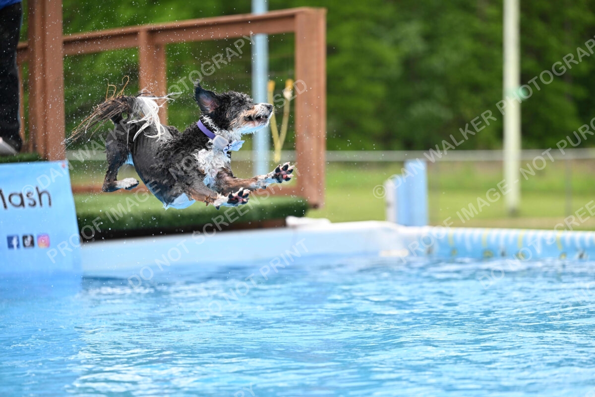 Dukes-5-17-25-01579_12101 PM