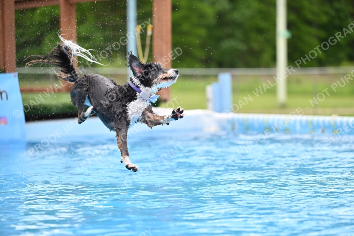 Dukes-5-17-25-01580_12101 PM