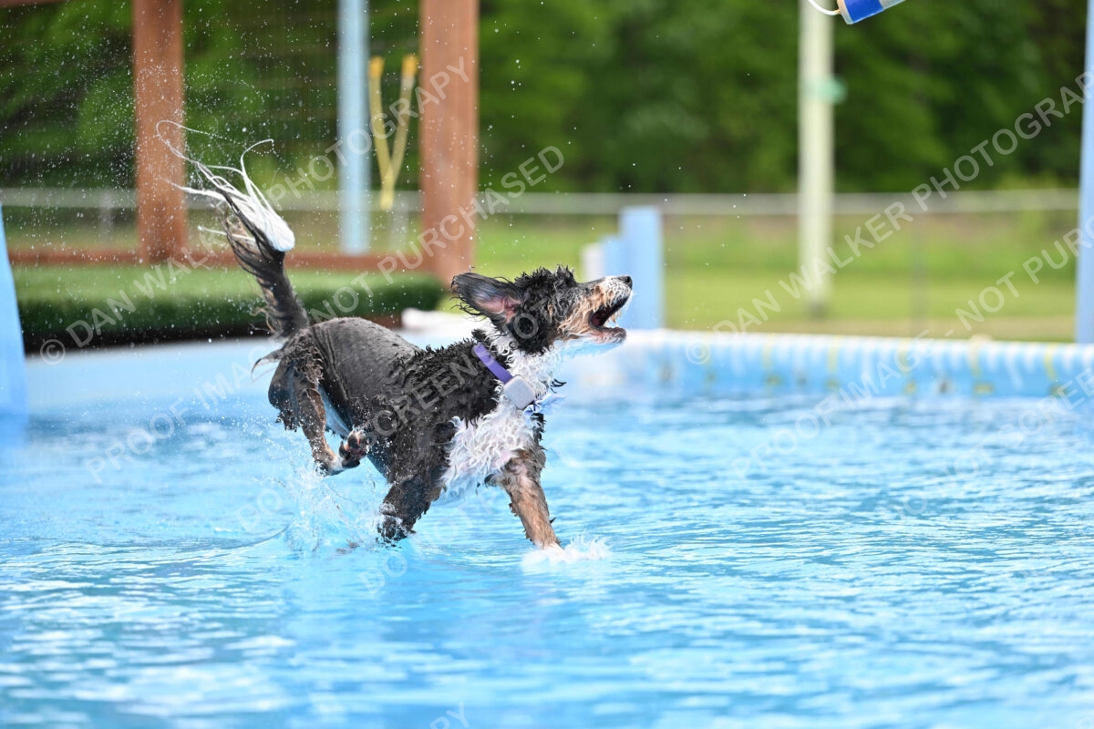 Dukes-5-17-25-01581_12102 PM