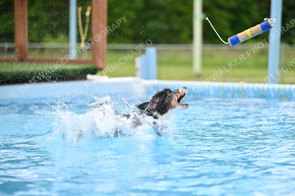 Dukes-5-17-25-01582_12102 PM