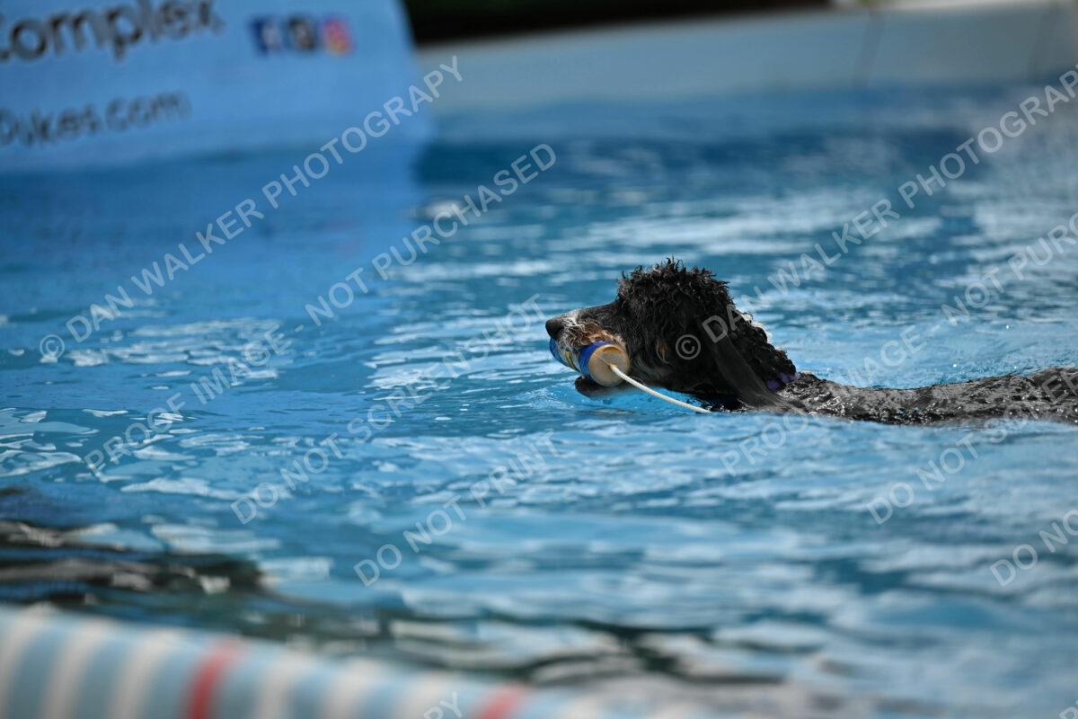 Dukes-5-17-25-01584_12109 PM