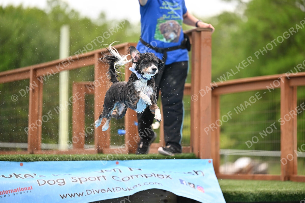 Dukes-5-17-25-01586_12136 PM