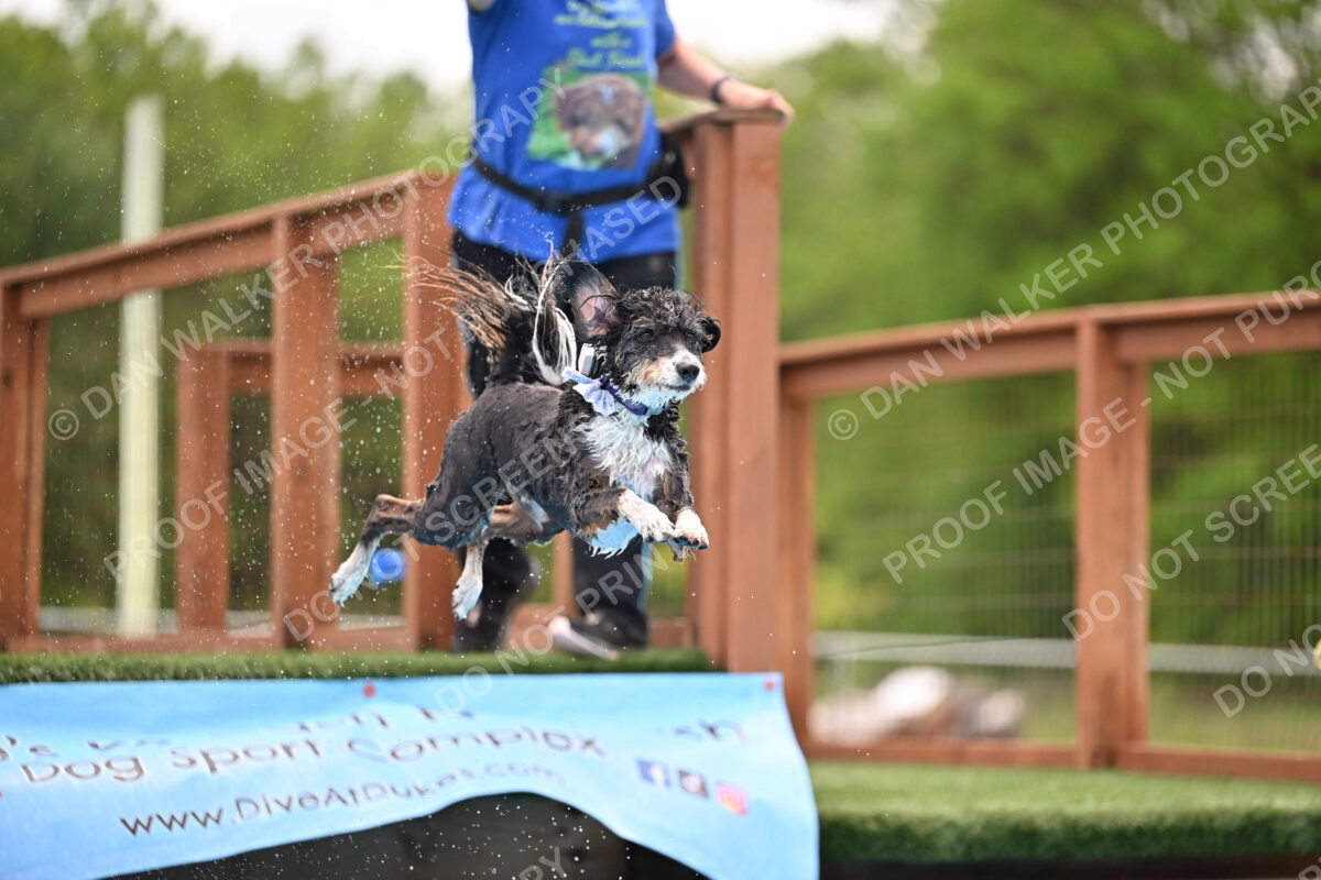 Dukes-5-17-25-01588_12137 PM