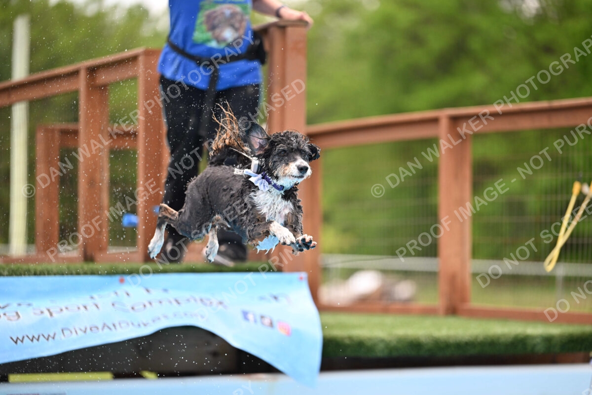 Dukes-5-17-25-01589_12137 PM