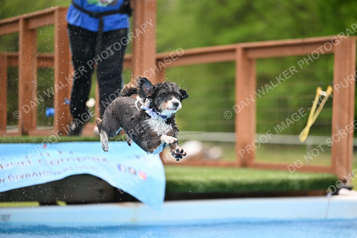 Dukes-5-17-25-01590_12137 PM