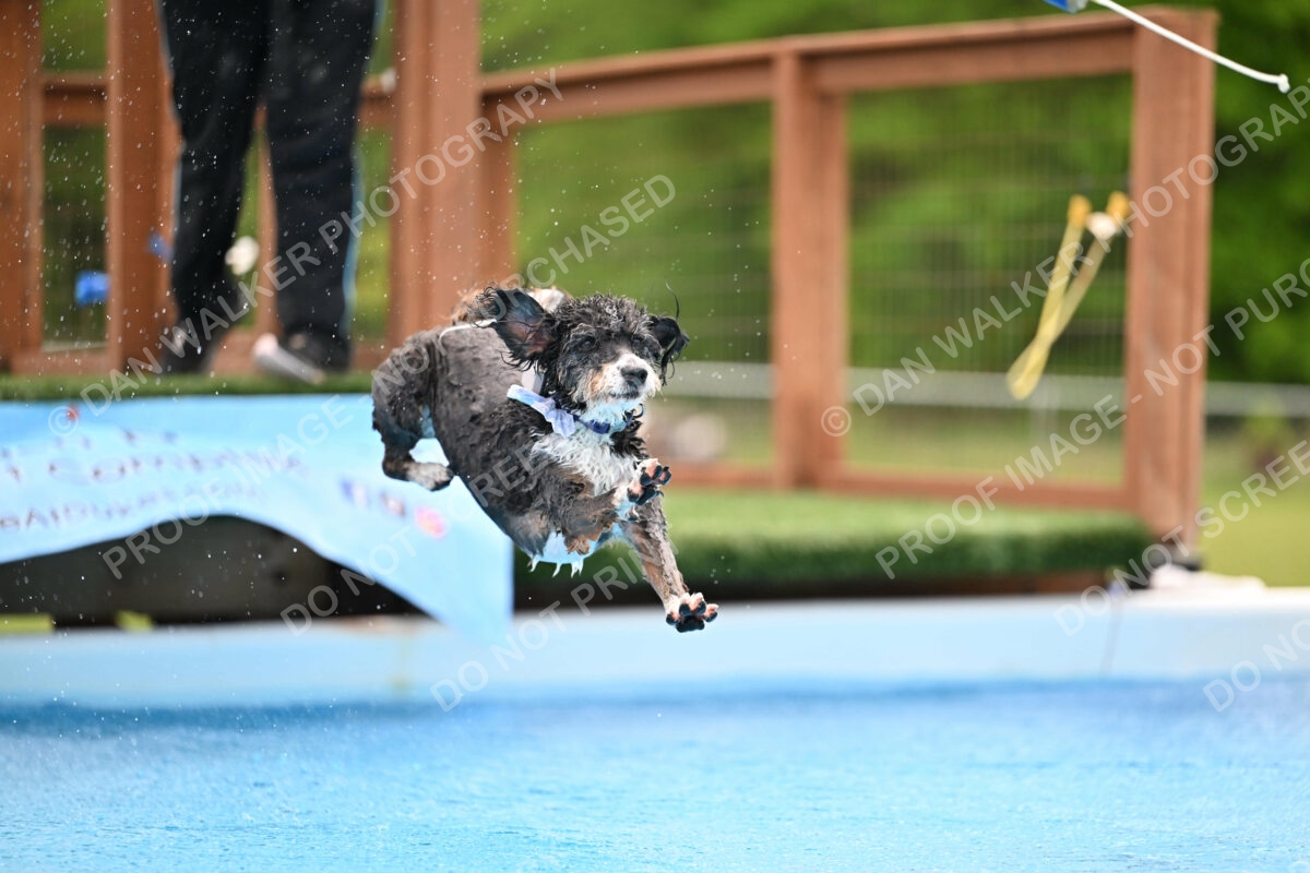 Dukes-5-17-25-01591_12137 PM