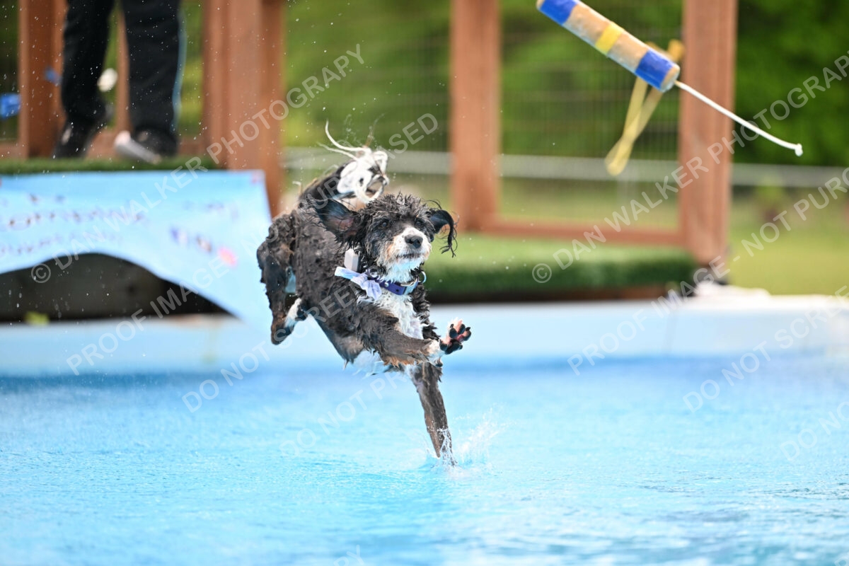 Dukes-5-17-25-01592_12137 PM