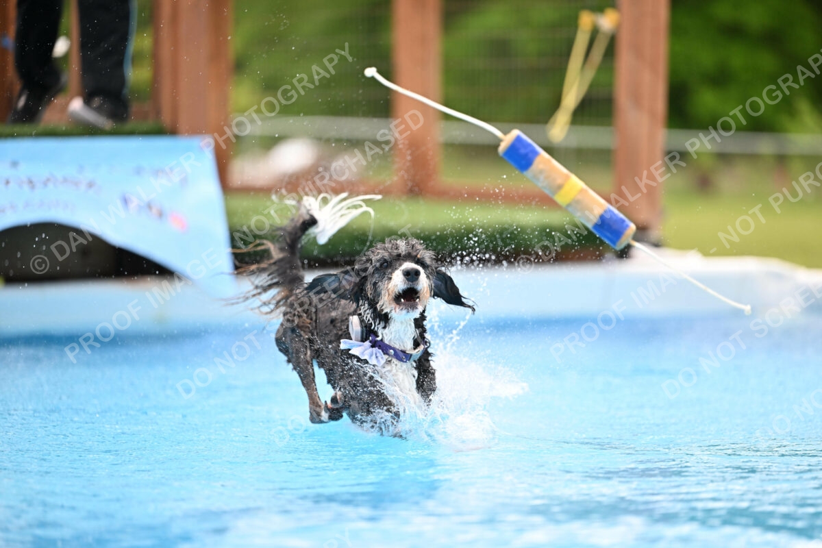 Dukes-5-17-25-01593_12137 PM