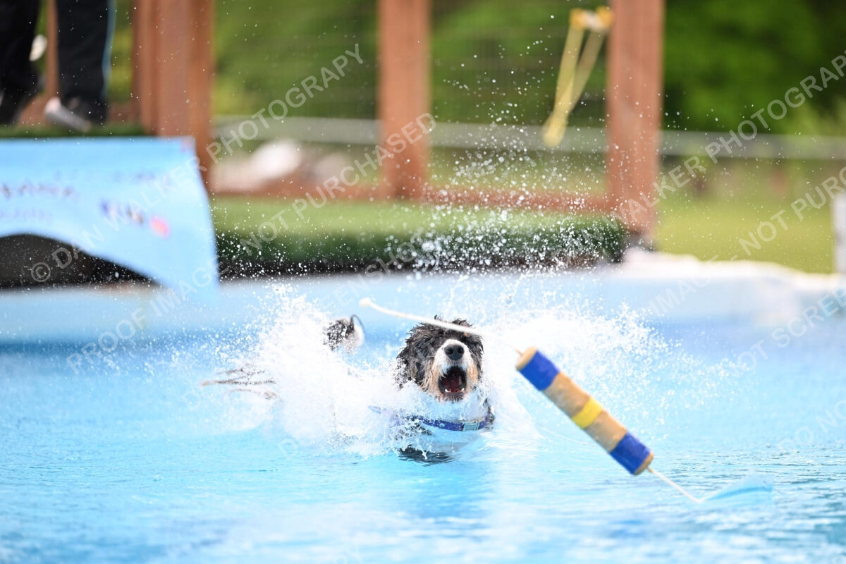 Dukes-5-17-25-01594_12137 PM