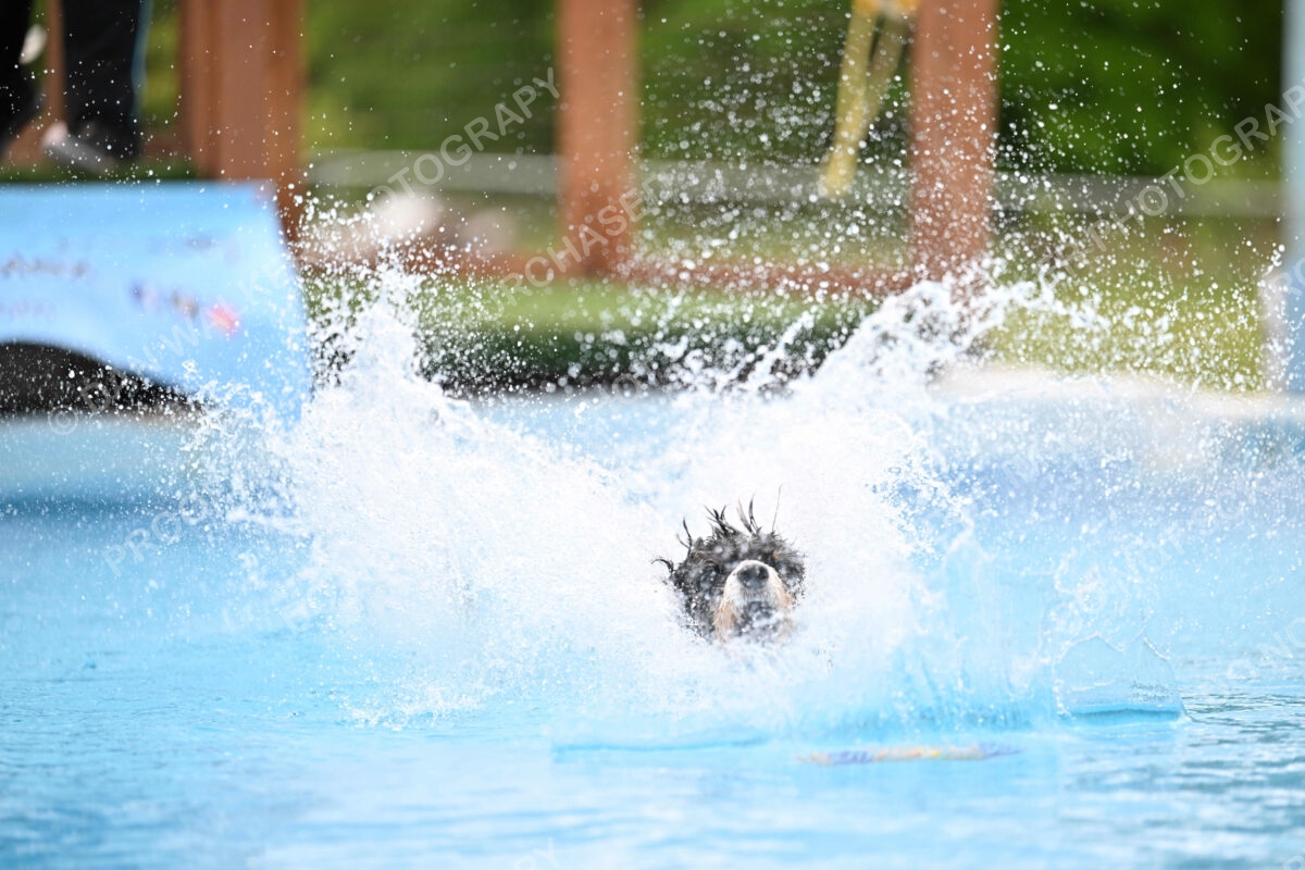 Dukes-5-17-25-01595_12137 PM