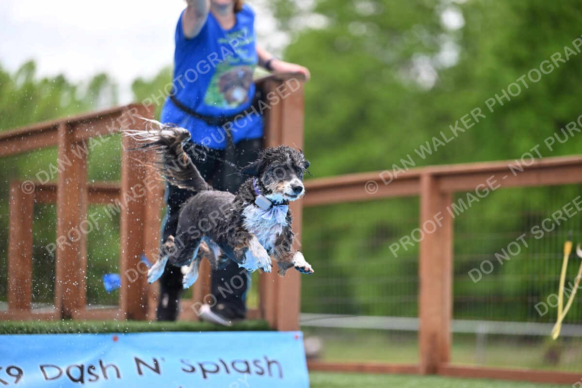 Dukes-5-17-25-01597_12204 PM