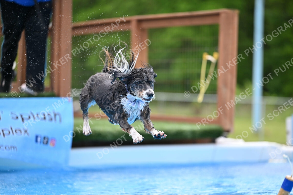 Dukes-5-17-25-01600_12204 PM