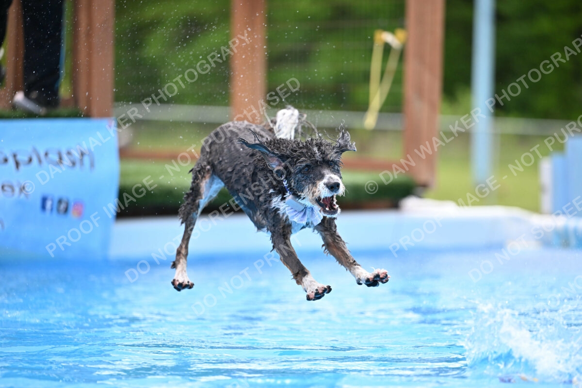 Dukes-5-17-25-01601_12204 PM