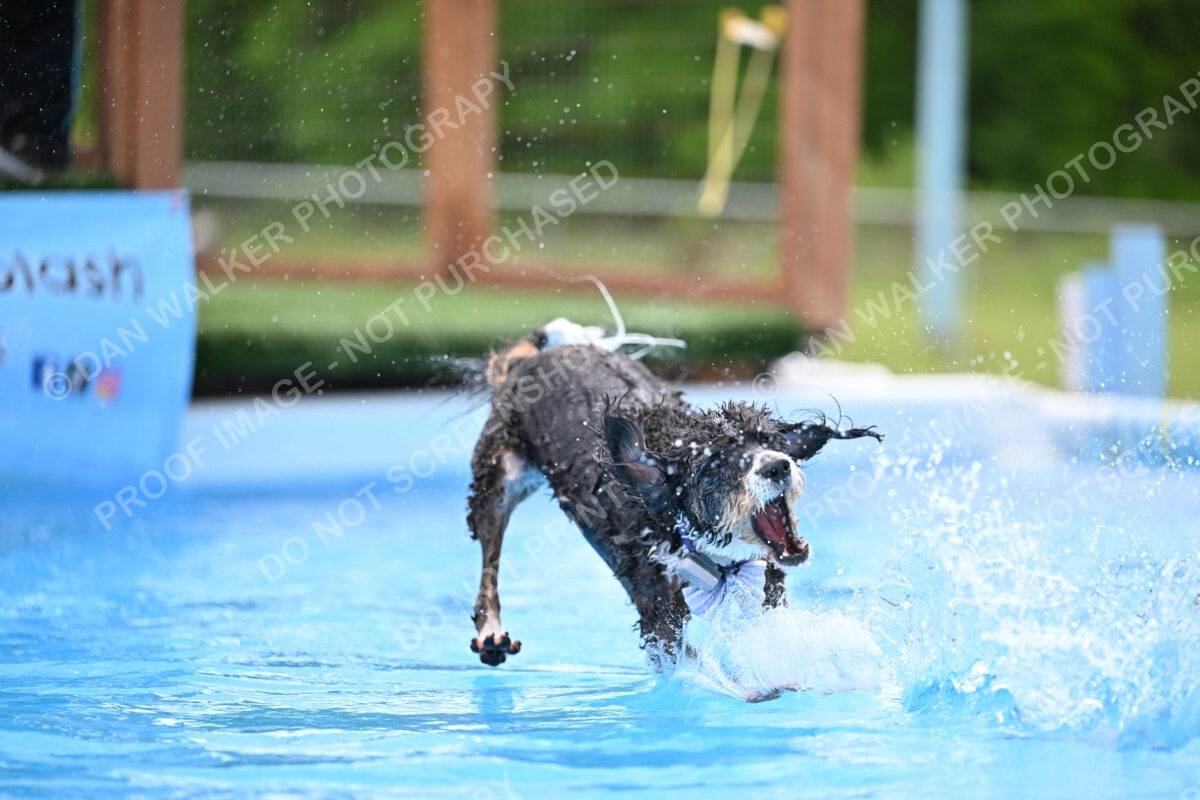 Dukes-5-17-25-01602_12204 PM