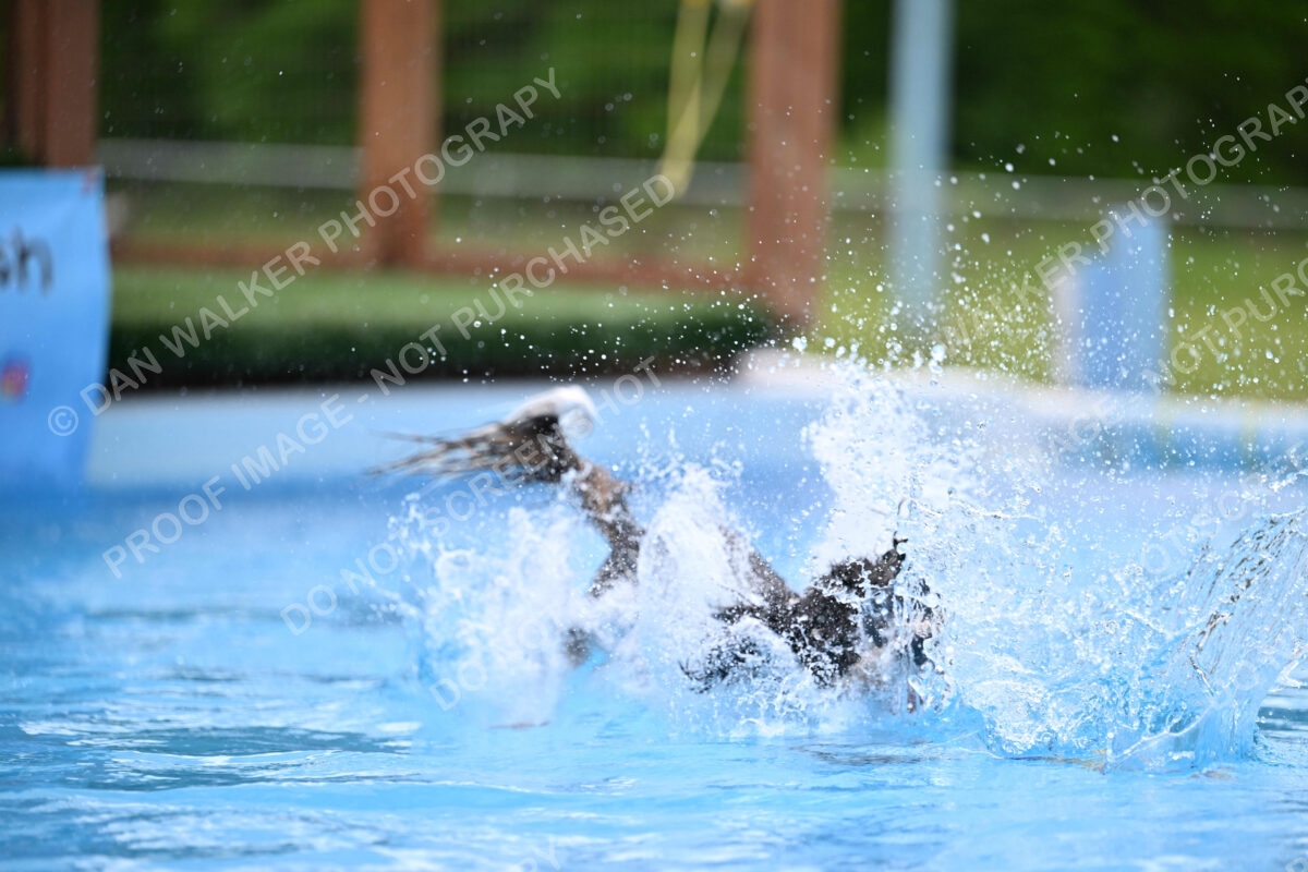 Dukes-5-17-25-01603_12204 PM