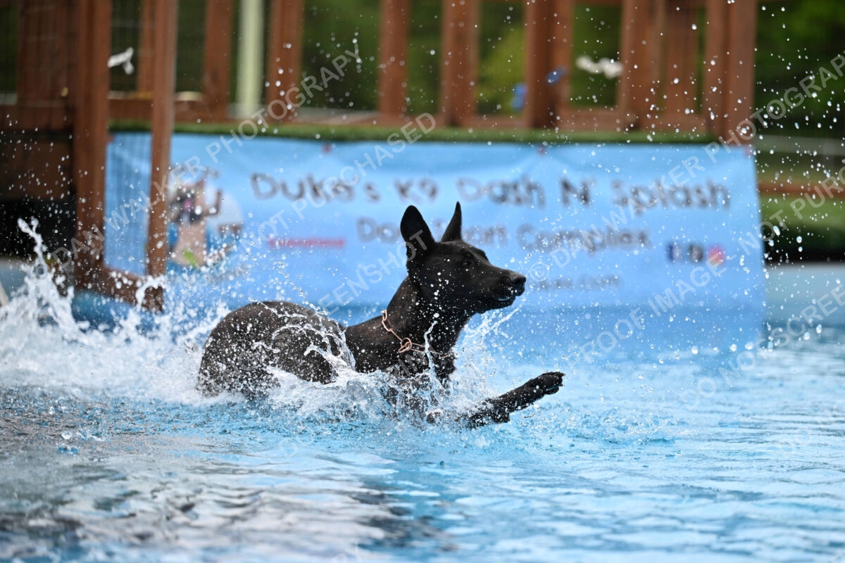 Dukes-5-17-25-01604_12436 PM