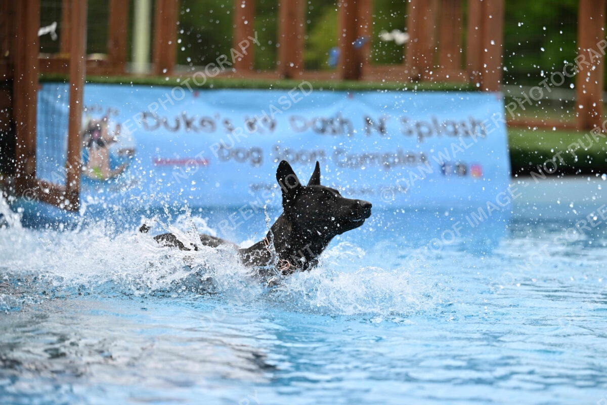 Dukes-5-17-25-01605_12436 PM