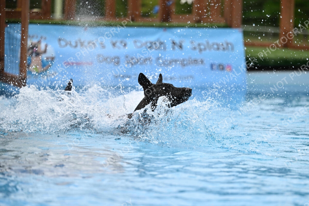 Dukes-5-17-25-01606_12436 PM