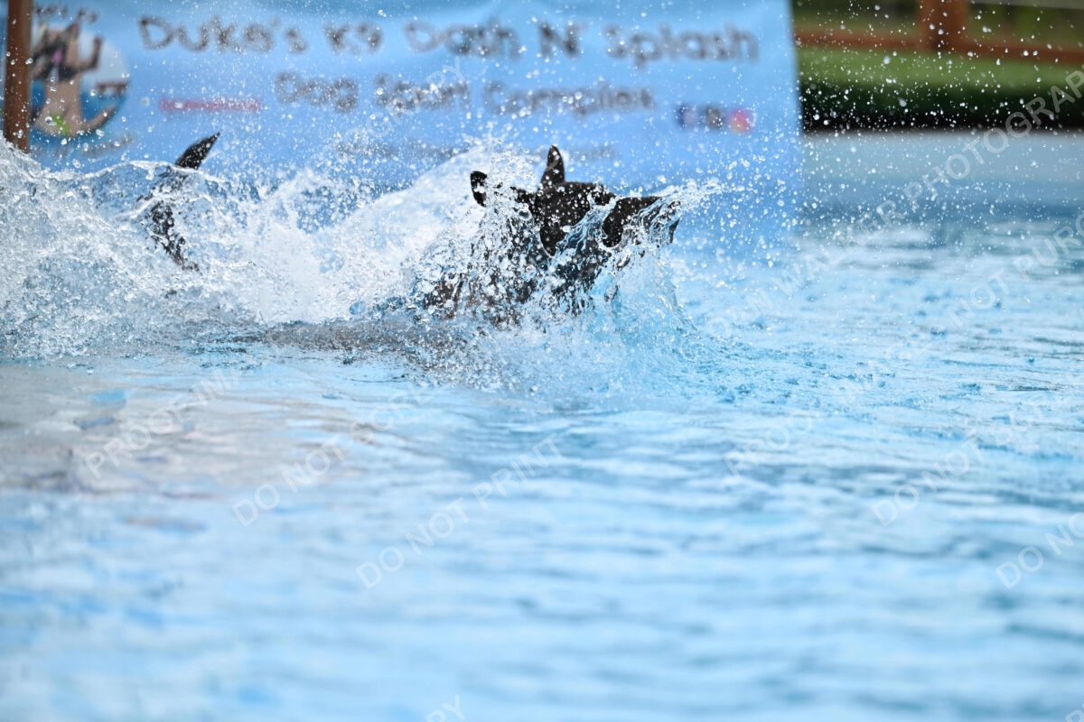 Dukes-5-17-25-01607_12436 PM