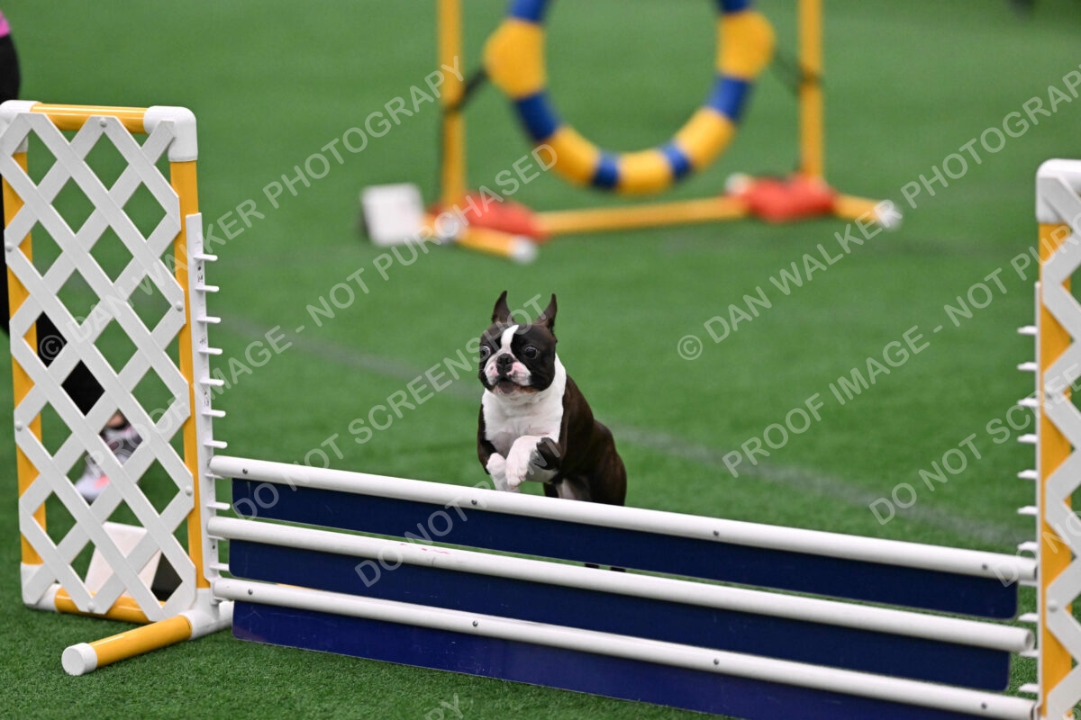 Bruno-Nancy-Huber-11365