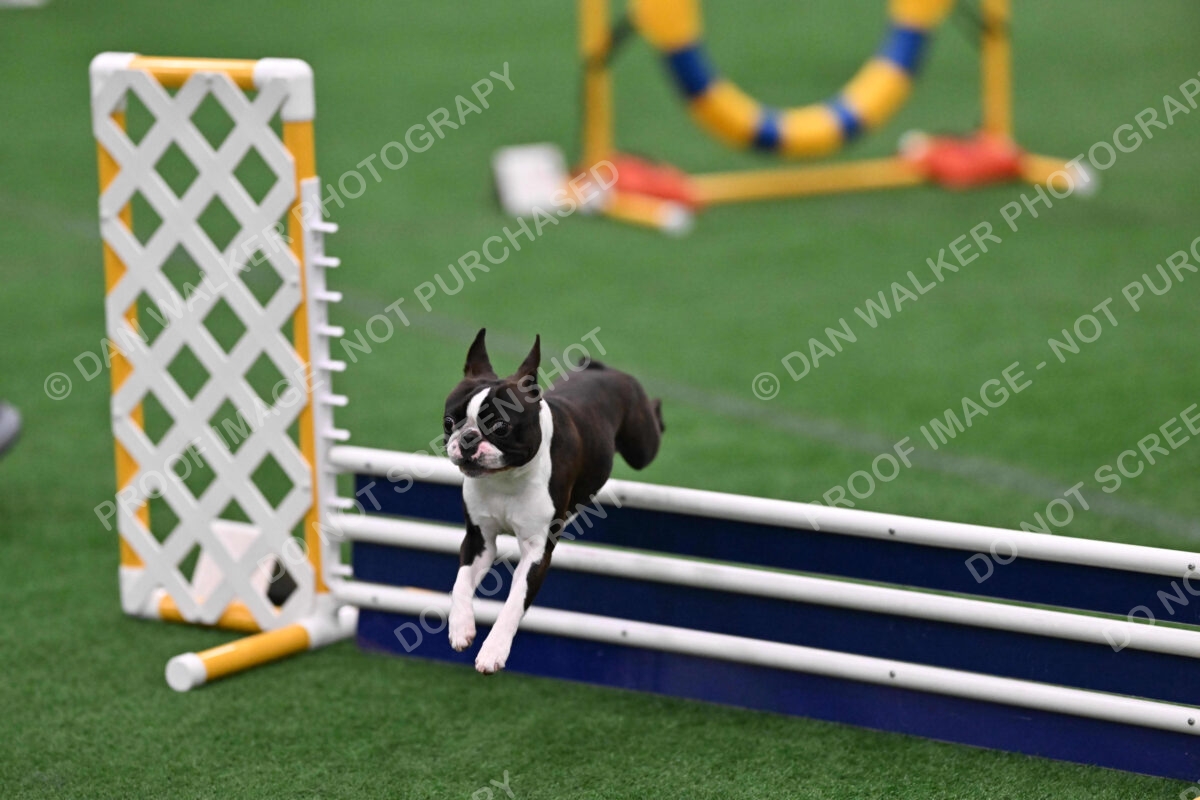 Bruno-Nancy-Huber-11368