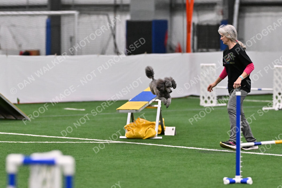 Fizz-Lori-Bieber-04540