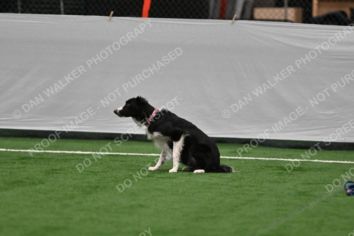 Lincoln-Clark-Hollada-13689