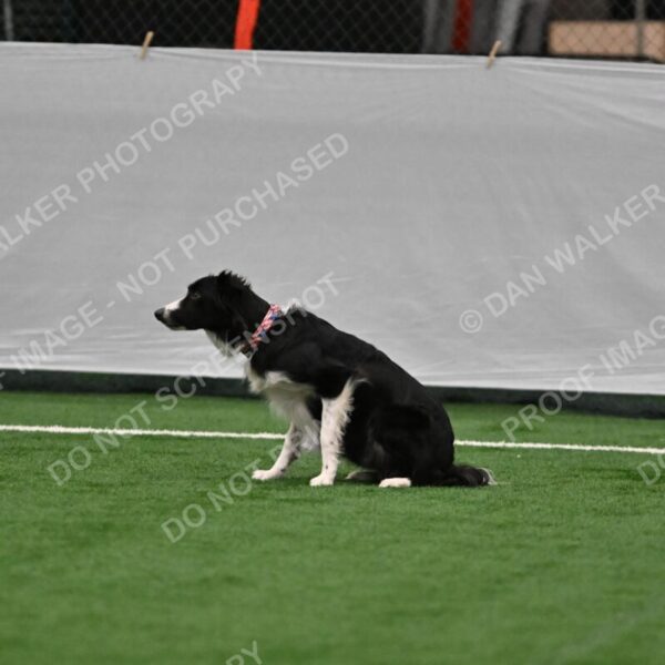 Lincoln-Clark-Hollada-13689