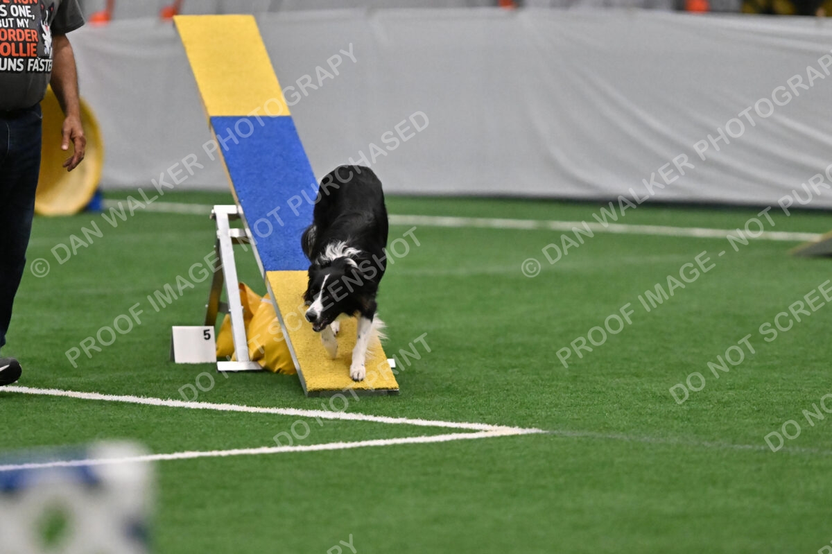 Lincoln-Clark-Hollada-13692