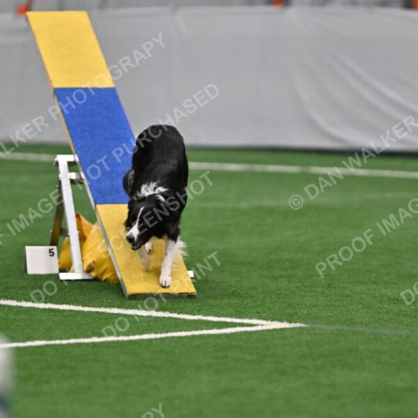 Lincoln-Clark-Hollada-13692