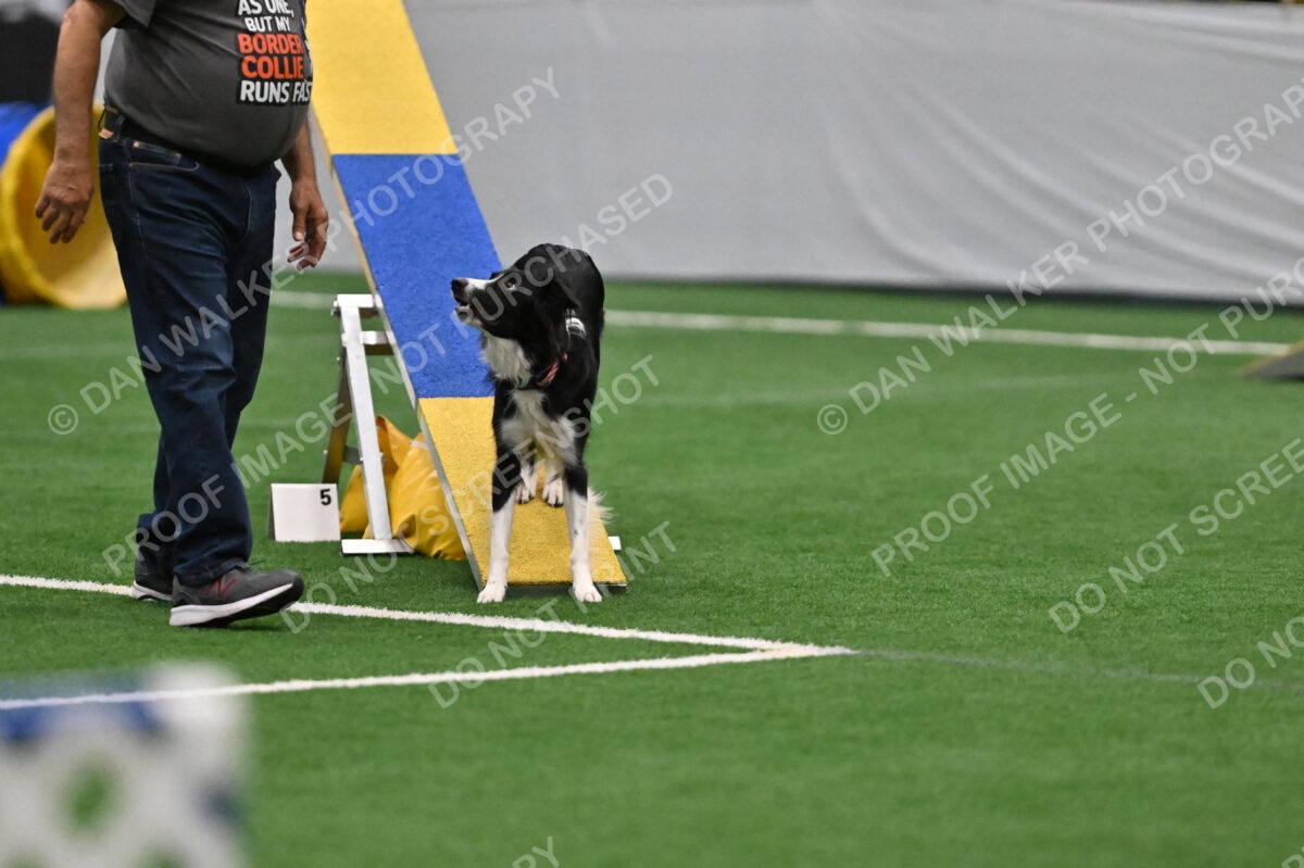 Lincoln-Clark-Hollada-13695